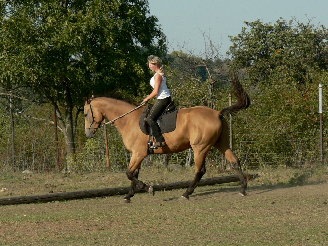 a05.JPG