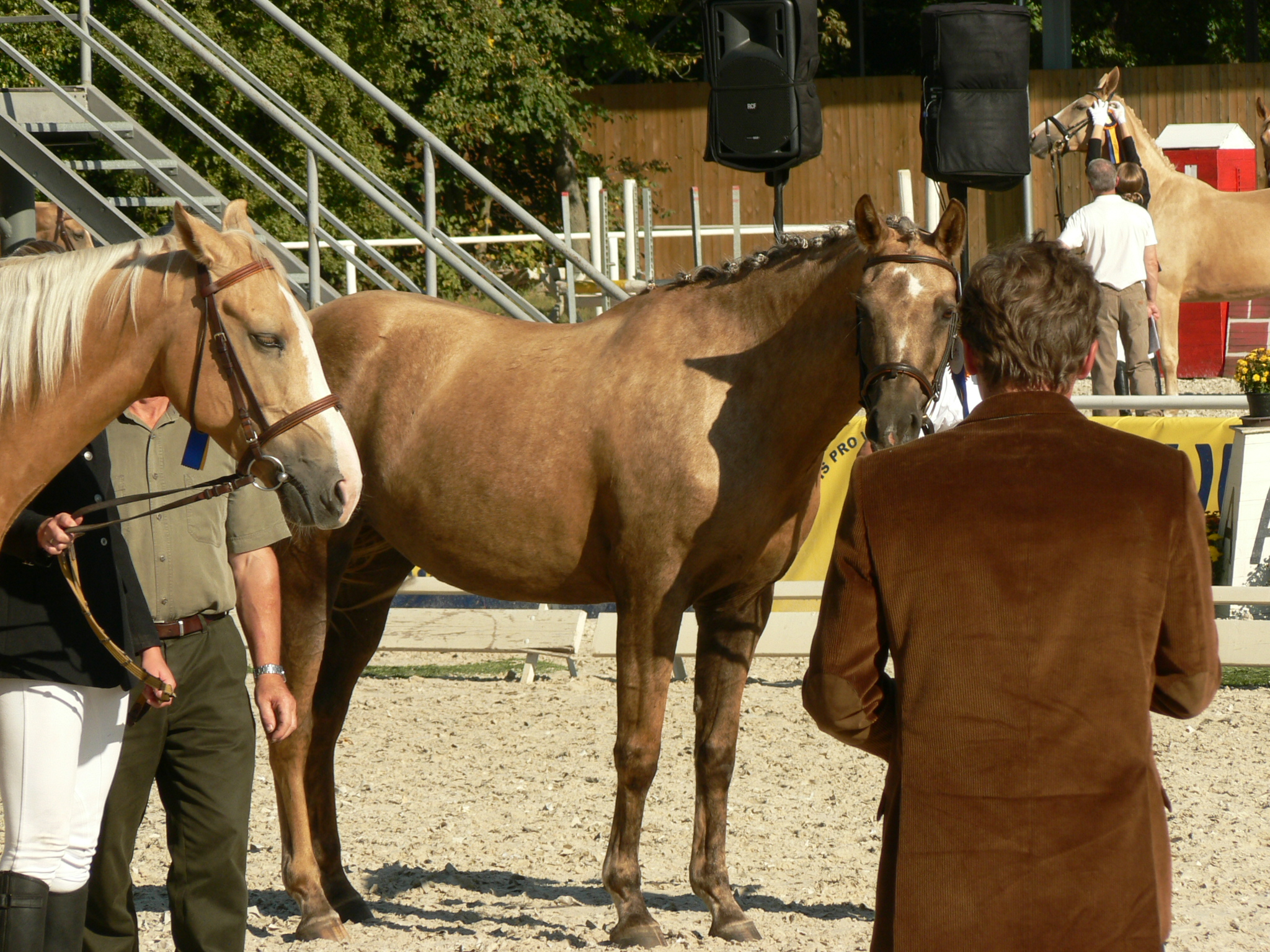 NPKK 1268